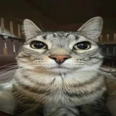 KezoXはあさ